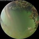 ./images/calvert/underwater/20260630/underwater20260630_213002M.jpg