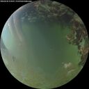 ./images/calvert/underwater/20260630/underwater20260630_214501M.jpg