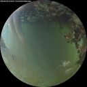 ./images/calvert/underwater/20260630/underwater20260630_215001M.jpg