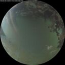 ./images/calvert/underwater/20260630/underwater20260630_221001M.jpg