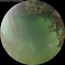 ./images/calvert/underwater/20260701/underwater20260701_055501M.jpg