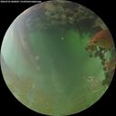 ./images/calvert/underwater/20260701/underwater20260701_060002M.jpg