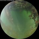 ./images/calvert/underwater/20260701/underwater20260701_061001M.jpg