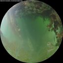 ./images/calvert/underwater/20260701/underwater20260701_062001M.jpg
