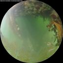 ./images/calvert/underwater/20260701/underwater20260701_063001M.jpg