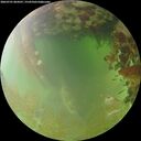 ./images/calvert/underwater/20260701/underwater20260701_064501M.jpg