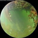 ./images/calvert/underwater/20260701/underwater20260701_065501M.jpg