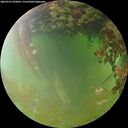 ./images/calvert/underwater/20260701/underwater20260701_070001M.jpg