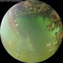 ./images/calvert/underwater/20260701/underwater20260701_070502M.jpg