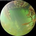 ./images/calvert/underwater/20260701/underwater20260701_071501M.jpg