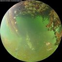 ./images/calvert/underwater/20260701/underwater20260701_073002M.jpg