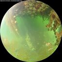 ./images/calvert/underwater/20260701/underwater20260701_074501M.jpg