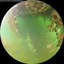 ./images/calvert/underwater/20260701/underwater20260701_075001M.jpg