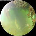 ./images/calvert/underwater/20260701/underwater20260701_084001M.jpg