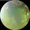 ./images/calvert/underwater/20260701/underwater20260701_091501M.jpg