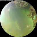 ./images/calvert/underwater/20260701/underwater20260701_092002M.jpg