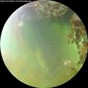 ./images/calvert/underwater/20260701/underwater20260701_093001M.jpg