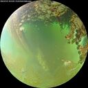 ./images/calvert/underwater/20260701/underwater20260701_101501M.jpg