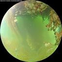 ./images/calvert/underwater/20260701/underwater20260701_102001M.jpg