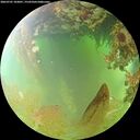 ./images/calvert/underwater/20260701/underwater20260701_103001M.jpg