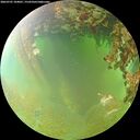 ./images/calvert/underwater/20260701/underwater20260701_104001M.jpg