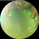 ./images/calvert/underwater/20260701/underwater20260701_104501M.jpg