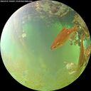 ./images/calvert/underwater/20260701/underwater20260701_105001M.jpg
