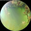 ./images/calvert/underwater/20260701/underwater20260701_112001M.jpg