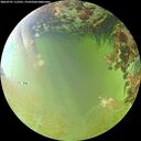 ./images/calvert/underwater/20260701/underwater20260701_112501M.jpg