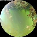./images/calvert/underwater/20260701/underwater20260701_113001M.jpg