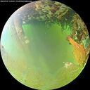 ./images/calvert/underwater/20260701/underwater20260701_113501M.jpg