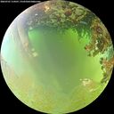 ./images/calvert/underwater/20260701/underwater20260701_114501M.jpg