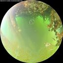 ./images/calvert/underwater/20260701/underwater20260701_115002M.jpg