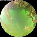 ./images/calvert/underwater/20260701/underwater20260701_115501M.jpg