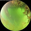 ./images/calvert/underwater/20260701/underwater20260701_121001M.jpg