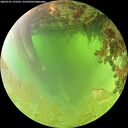 ./images/calvert/underwater/20260701/underwater20260701_122501M.jpg