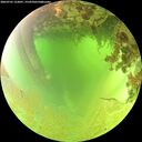 ./images/calvert/underwater/20260701/underwater20260701_123001M.jpg