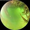 ./images/calvert/underwater/20260701/underwater20260701_123501M.jpg
