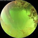 ./images/calvert/underwater/20260701/underwater20260701_124001M.jpg