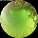 ./images/calvert/underwater/20260701/underwater20260701_124502M.jpg