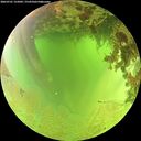 ./images/calvert/underwater/20260701/underwater20260701_125002M.jpg