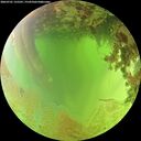 ./images/calvert/underwater/20260701/underwater20260701_125501M.jpg