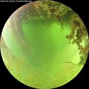 ./images/calvert/underwater/20260701/underwater20260701_130502M.jpg