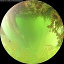 ./images/calvert/underwater/20260701/underwater20260701_131001M.jpg