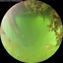 ./images/calvert/underwater/20260701/underwater20260701_131502M.jpg