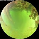./images/calvert/underwater/20260701/underwater20260701_132001M.jpg