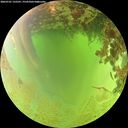 ./images/calvert/underwater/20260701/underwater20260701_132501M.jpg