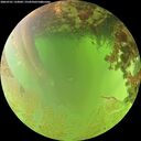 ./images/calvert/underwater/20260701/underwater20260701_133001M.jpg