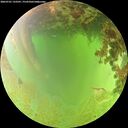 ./images/calvert/underwater/20260701/underwater20260701_133501M.jpg