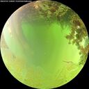./images/calvert/underwater/20260701/underwater20260701_134001M.jpg